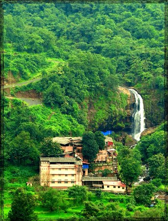 placeimg