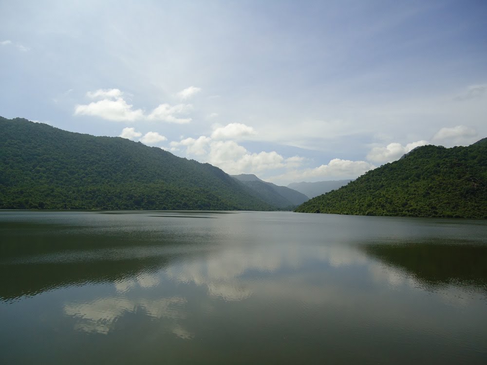 placeimg