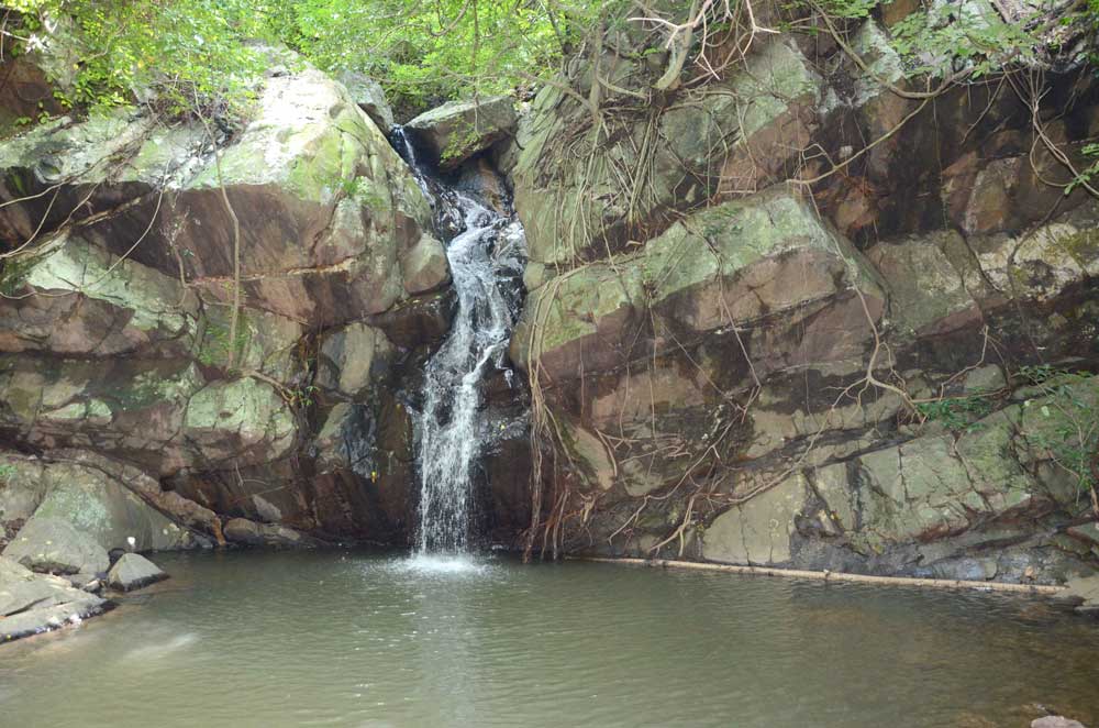 placeimg