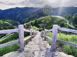 placeimg