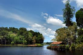 placeimg