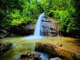 placeimg