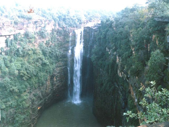 placeimg