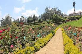 placeimg