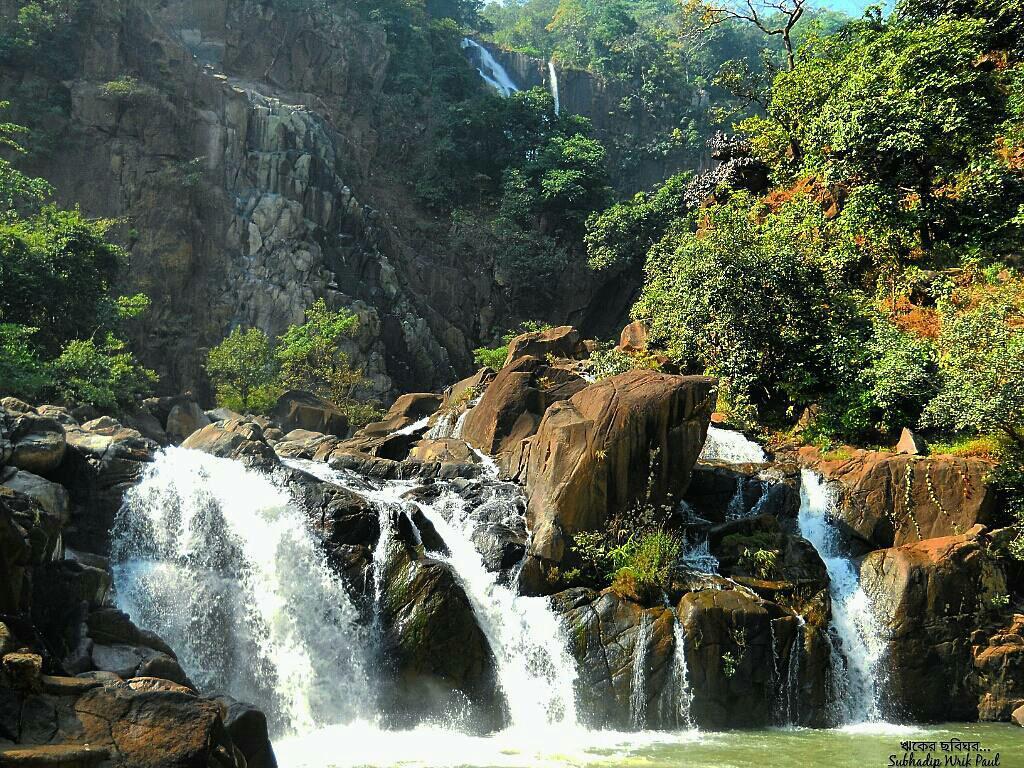 placeimg