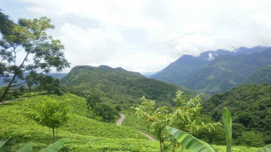 placeimg
