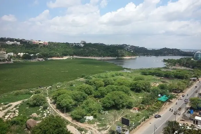 placeimg