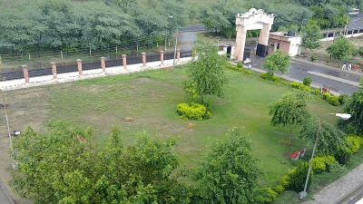 placeimg
