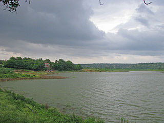 placeimg