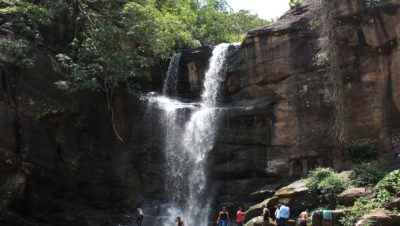 placeimg