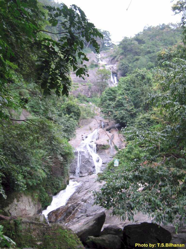 placeimg
