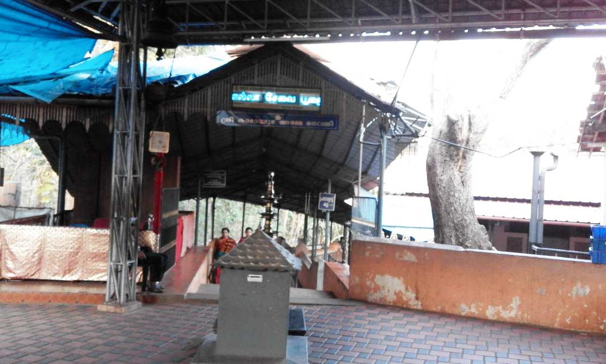 placeimg