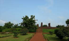 placeimg