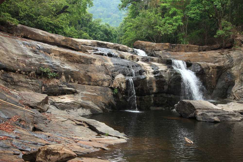 placeimg