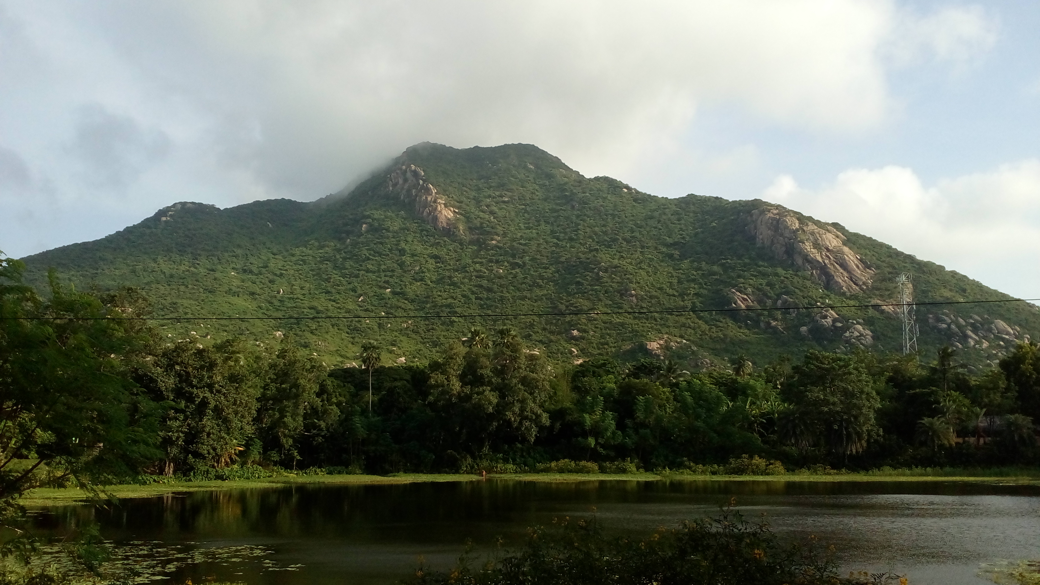 placeimg
