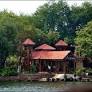 placeimg