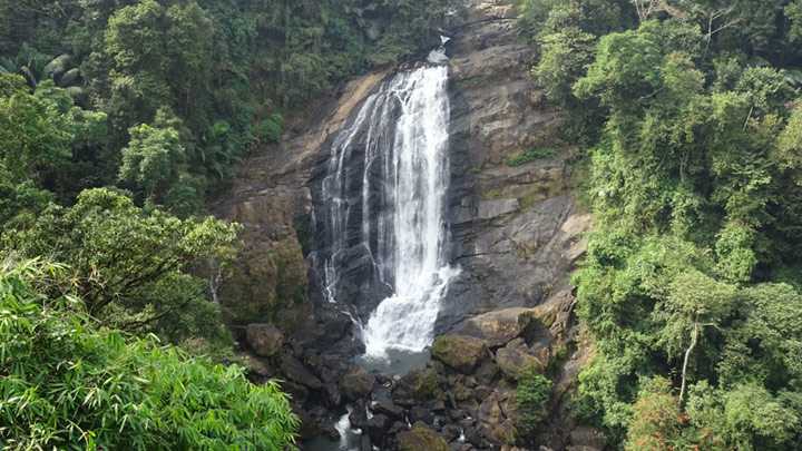 placeimg