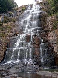 placeimg