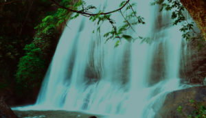 placeimg