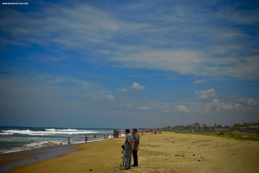 placeimg