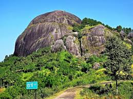 placeimg