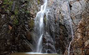 placeimg