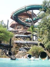 placeimg