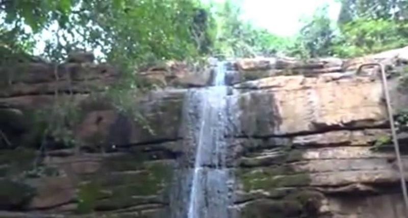 placeimg