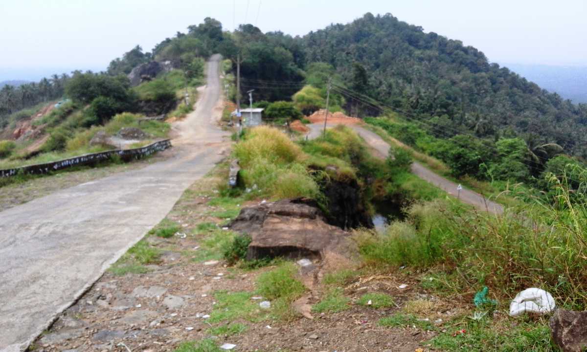 placeimg