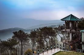 placeimg