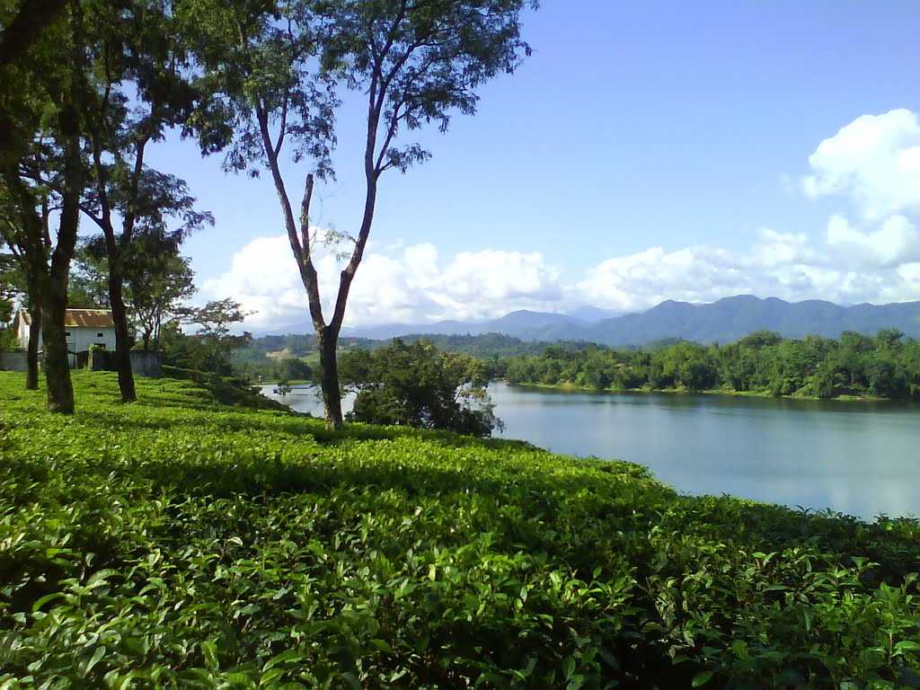 placeimg