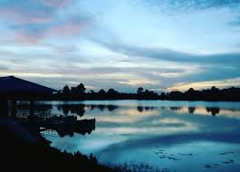 placeimg