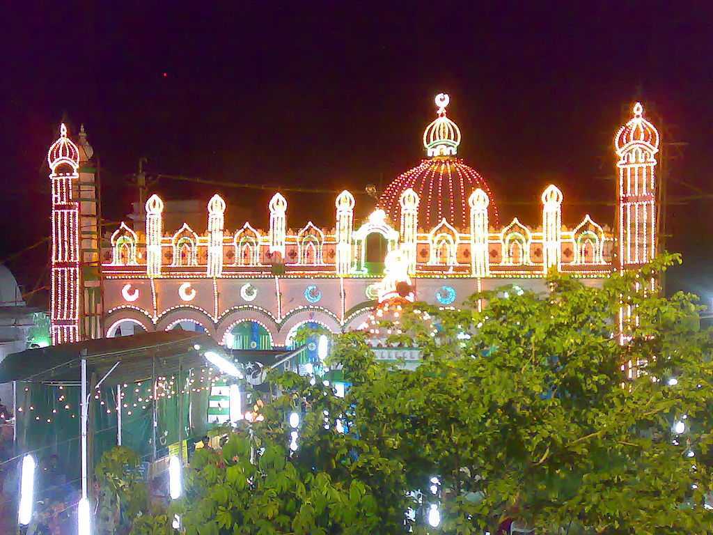 placeimg