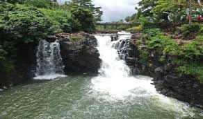 placeimg