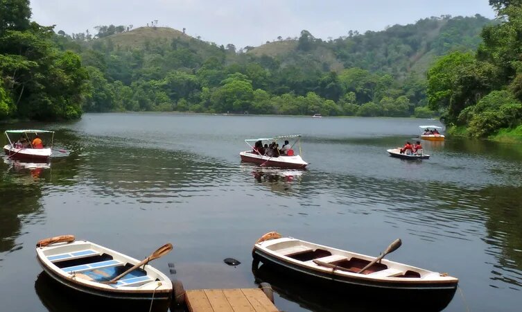 placeimg