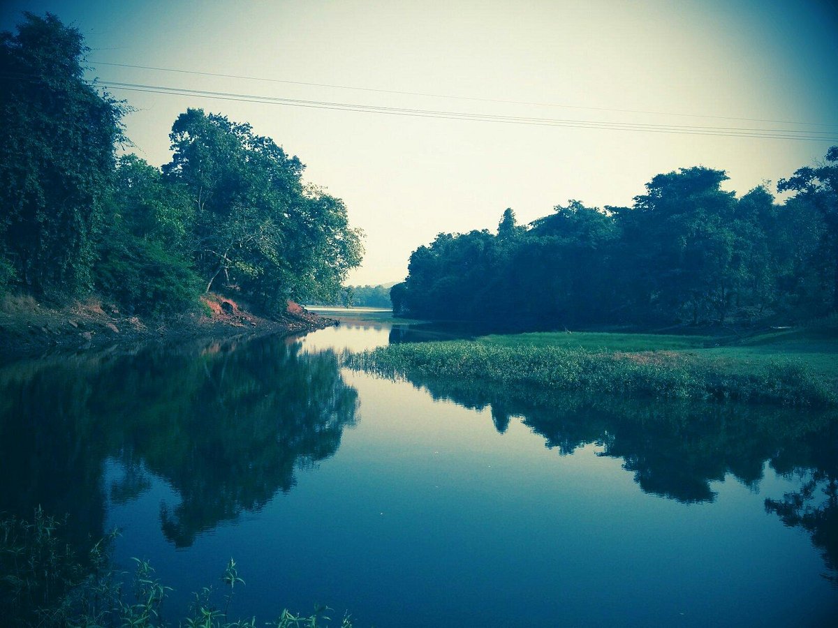 placeimg