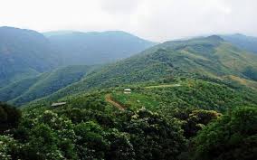 placeimg