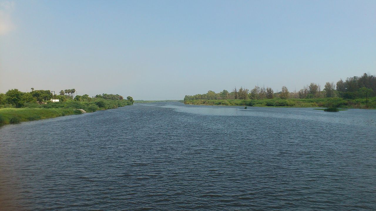 placeimg